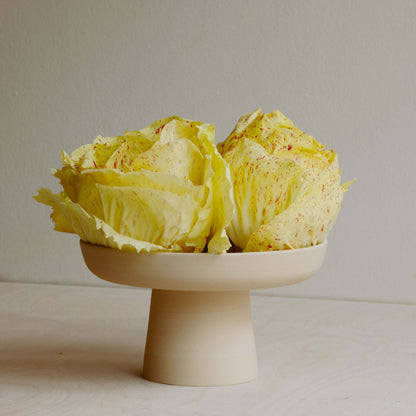 Aleah Bowl made of grey stoneware with glossy interior glaze, featuring fresh butter lettuce heads.